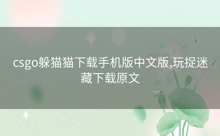 csgo躲猫猫下载手机版中文版,玩捉迷藏下载原文