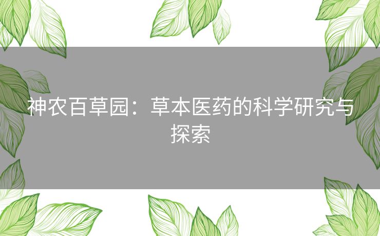 神农百草园：草本医药的科学研究与探索