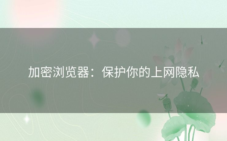 加密浏览器：保护你的上网隐私