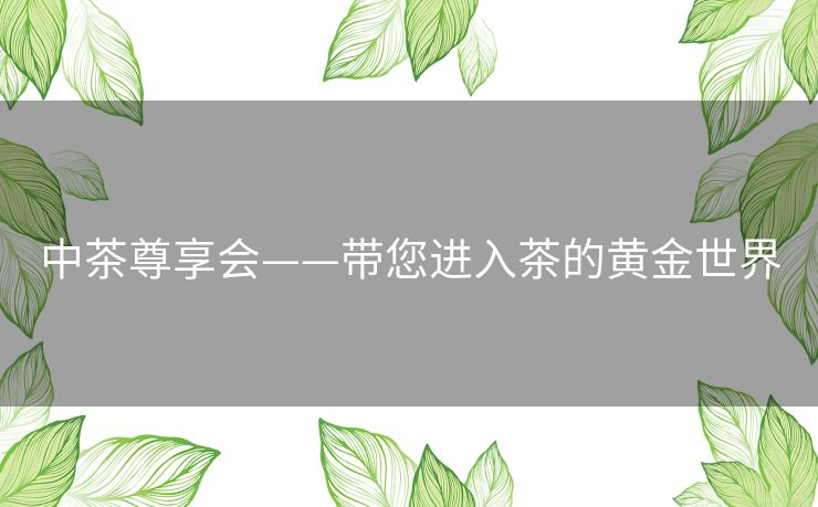 中茶尊享会——带您进入茶的黄金世界