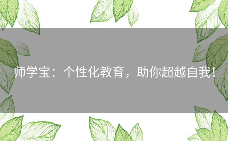 师学宝：个性化教育，助你超越自我！