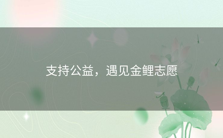 支持公益，遇见金鲤志愿